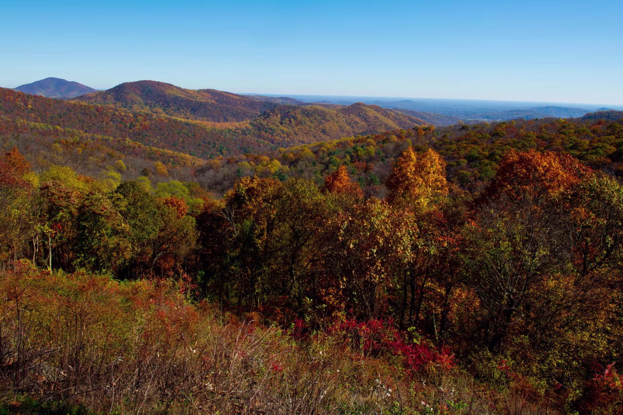 The view from Skyline Drive in the Shenandoah National Park in Virginia, on November 5, 2016.