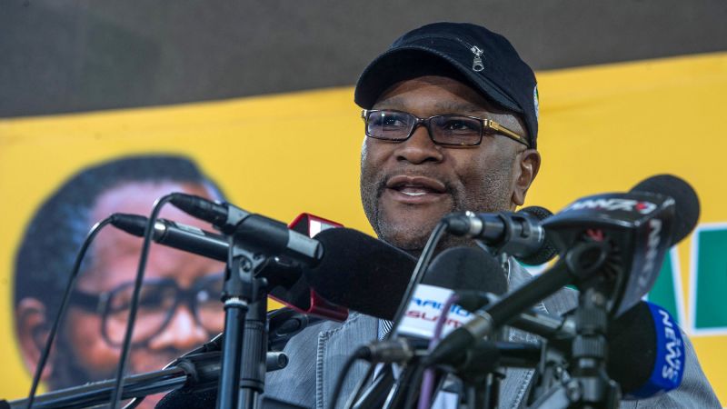 Nathi Mthethwa: South African ambassador had faced corruption claims before he was found dead at foot of Paris hotel