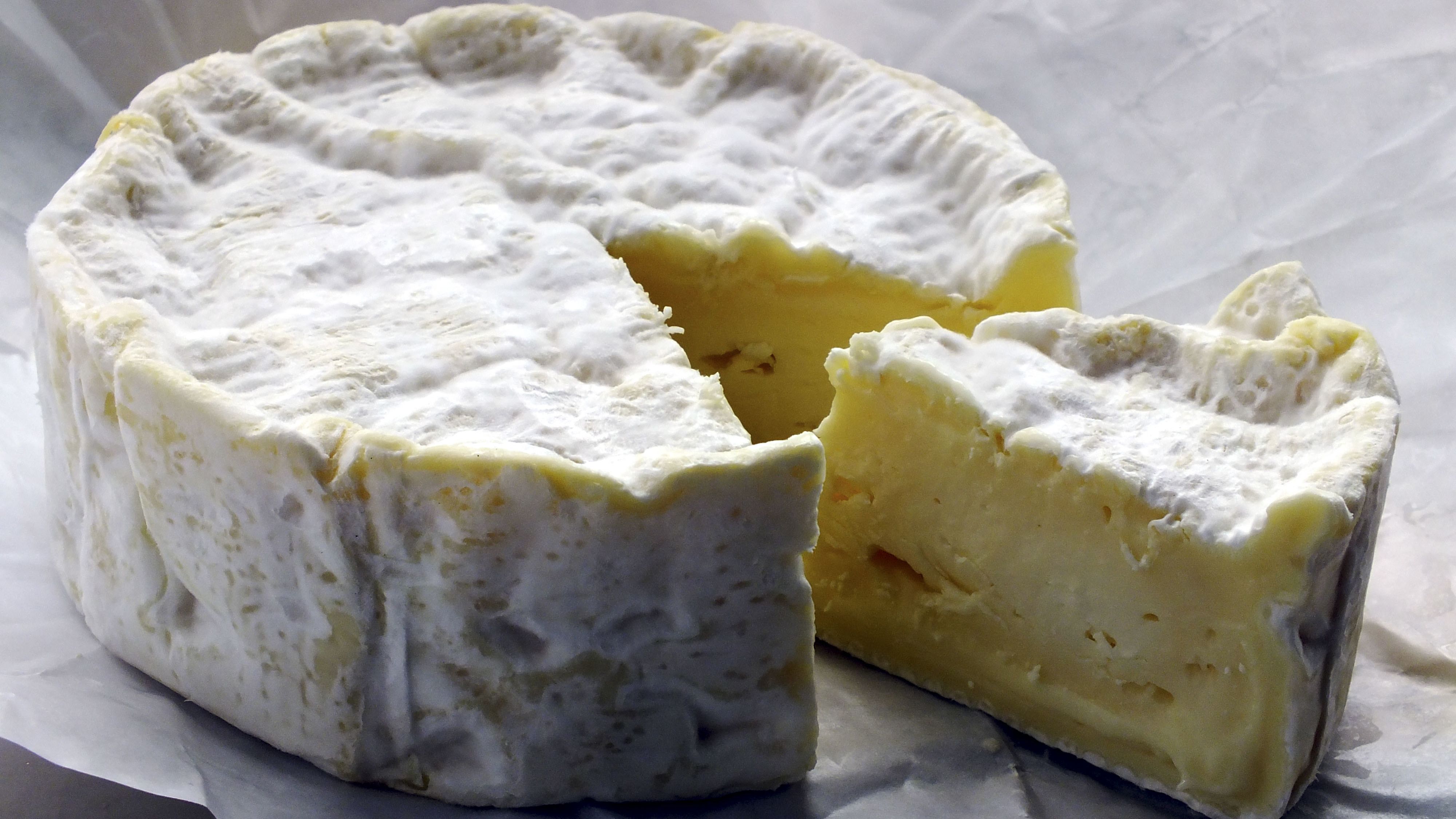 Camembert's distinctive white rind is created by a fungus that scientists say is in increasingly short supply.