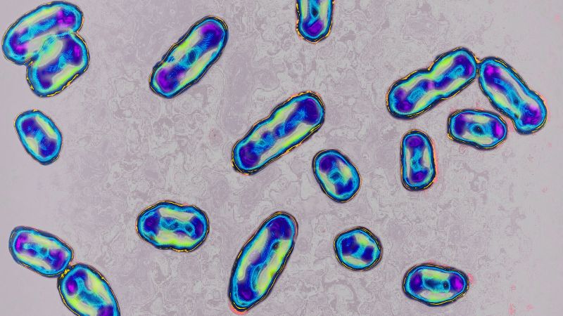 South Lake Tahoe resident tests positive for plague