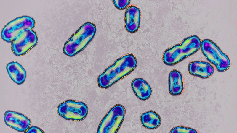 Pneumonic plague: What to know about the disease