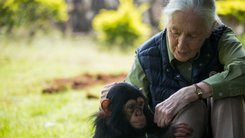 People we’ve lost in 2025