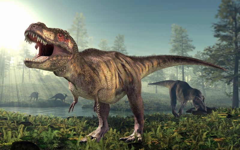 It took 35 years for T. rex to become fully grown | CNN