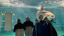 A lonely sunfish in Japan has been cheered up by makeshift people stuck to its tank.