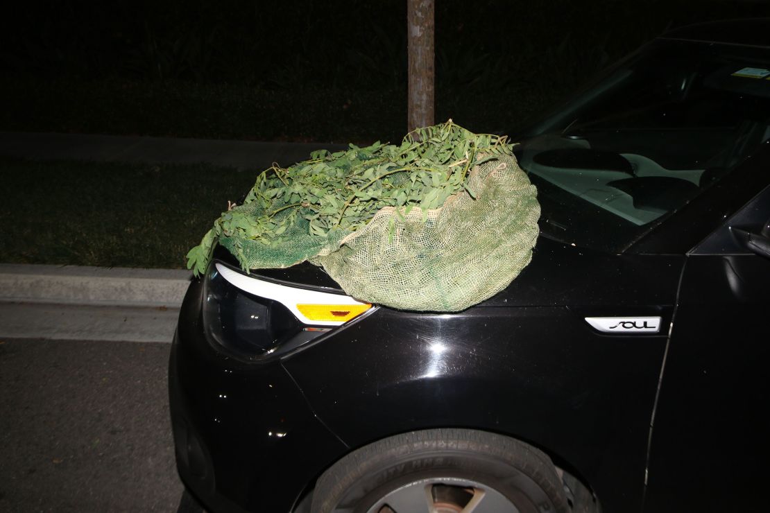 Some of the burglary suspects have used ghillie suits, like the one seen here, to camouflage their movements.