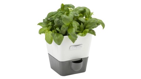 Cole & Mason Self-Watering Indoor Herb Garden Planter