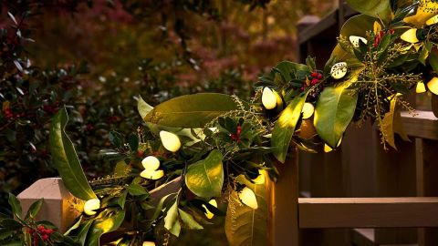 Gloria Warm White 50-LED C7 Indoor/Outdoor Battery-Operated String Lights