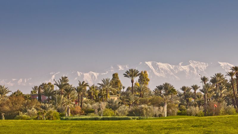 The emerald oases backdropped by Morocco’s Atlas Mountains