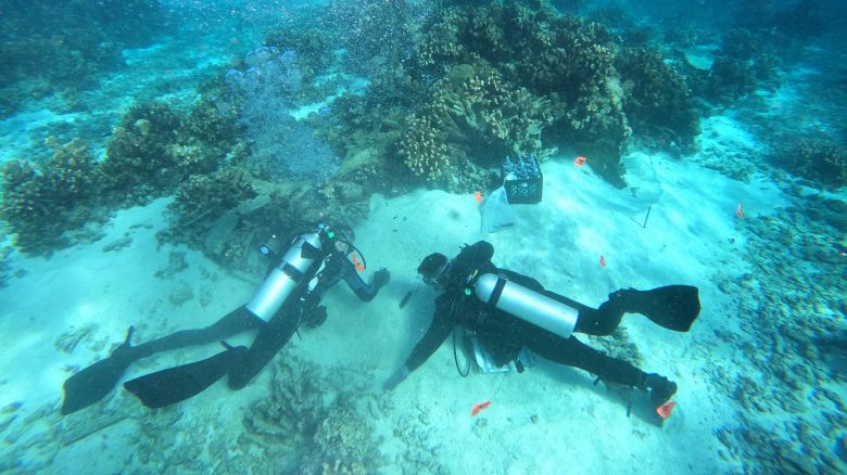 Divers Calvin Mires and Evan Kovacs deploy flags to mark sampling locations at the Avenger aircraft in Saipan.
