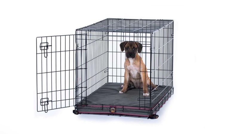 The 15 Best Dog Beds Of 2024 From Elevated To Chew Proof CNN Underscored   Gorilla Ballistic Tough Orthopedic Dog Crate Pad 