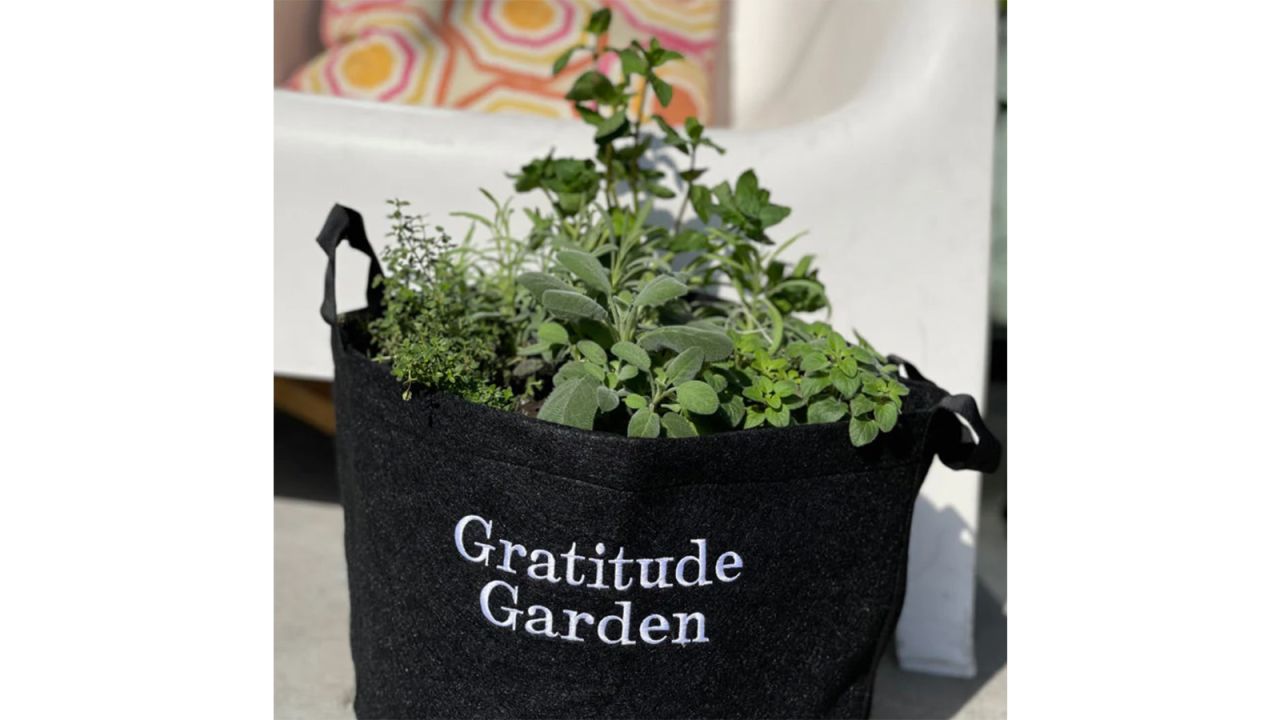 gratitude garden.jpg