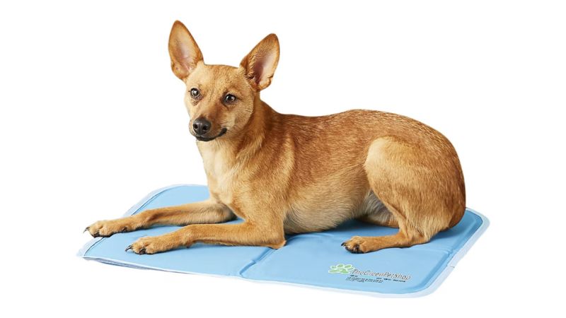 Chewy cooling mat best sale