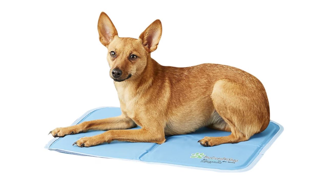 Green Pet Shop Cool Pet Pad product card cnnu.jpg