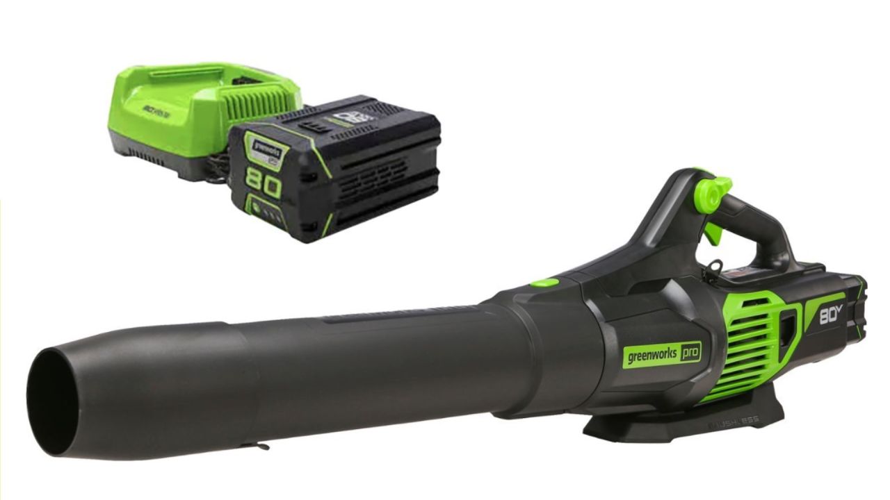 Greenworks 80V Electric Leaf Blower.jpg