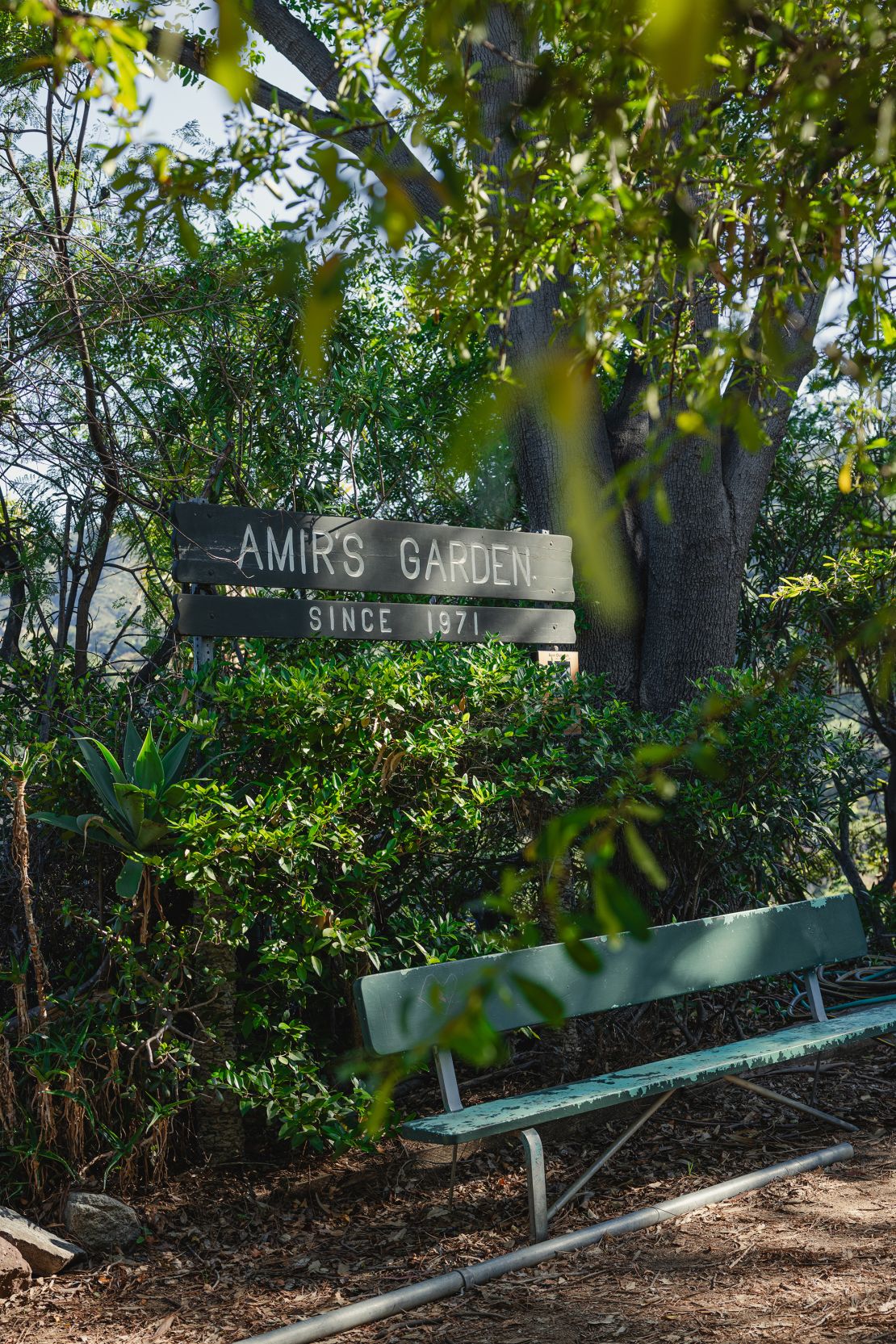 Amir's Garden is a quiet spot of horticultural beauty.