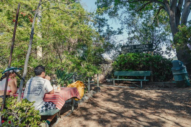 <strong>Amir's Garden: </strong>The semi-tamed tiers of Amir’s Garden are packed with plants and trees that a man named Amir Dialameh began hauling up, by hand, in the early 1970s when those trees were saplings.
