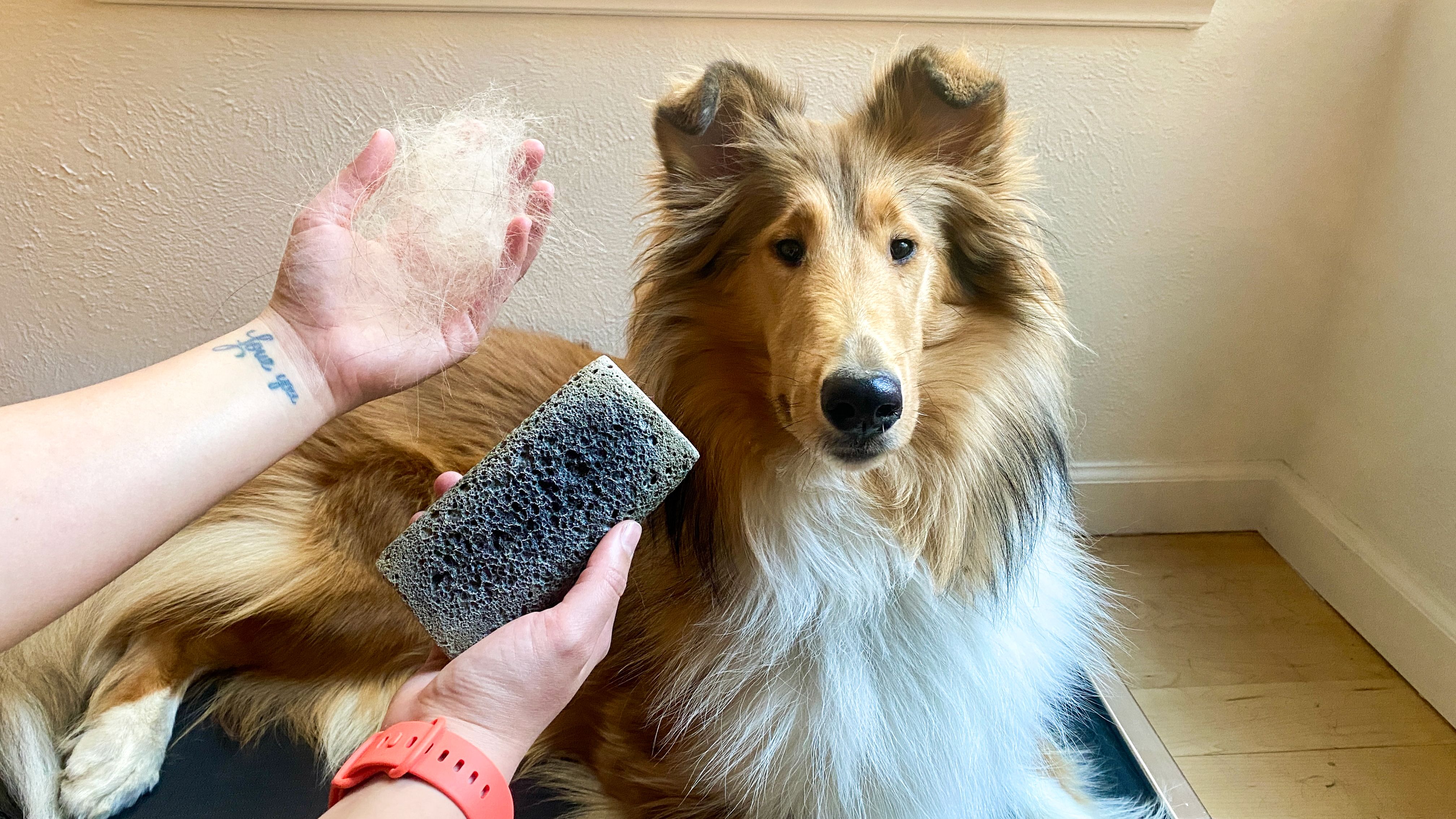Groomer's Stone Pet Grooming Tool review