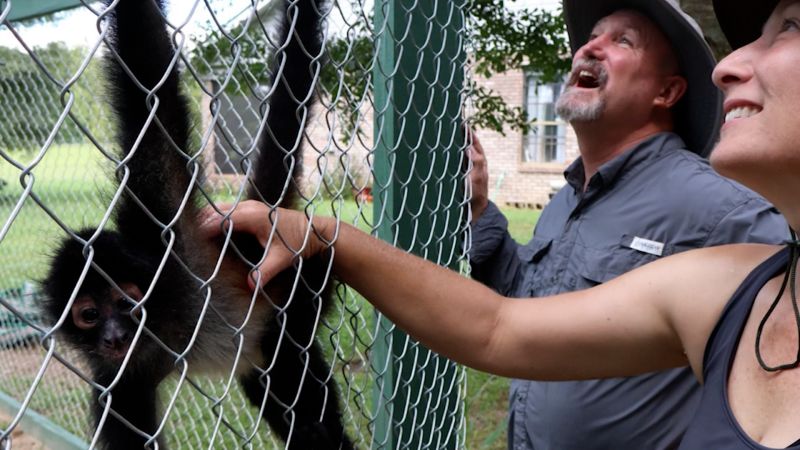 She struggled with PTSD. Here’s how a monkey sanctuary brought relief