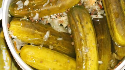 Fresh Guss' New Kosher Dill Pickles NY