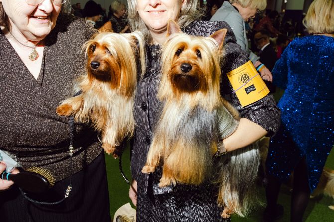 Silky terriers Sophie and Pixie, with owner Carolyn Kool, left, and handler Nicole Simpson, are seen backstage on Monday.