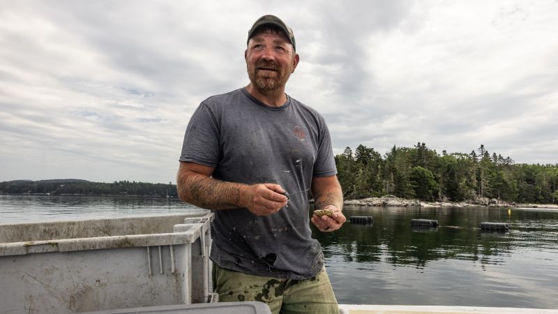 ‘I got older and became a communist’: Deleted posts show Maine Senate hopeful’s raw views on politics, war, and police