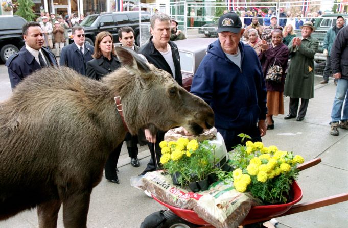 "Welcome to Mooseport," a 2004 political satire, was Hackman's final film acting role.