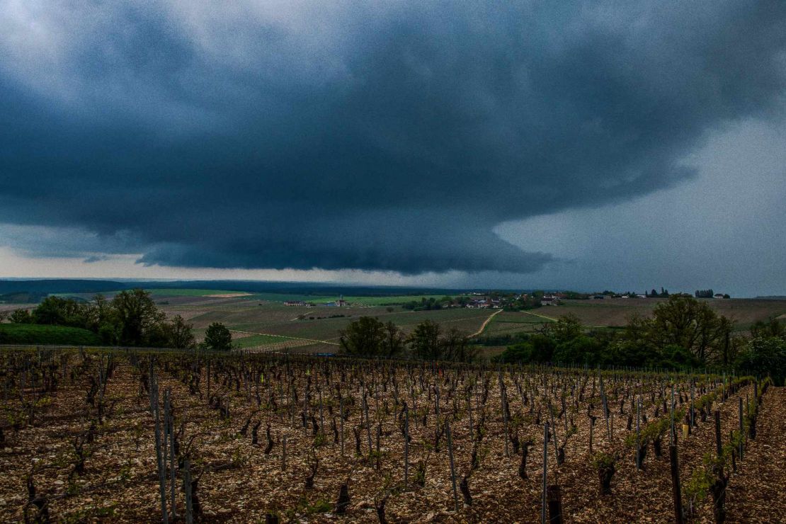 The powerful supercell storm hit the Chablis region on May 1 destroyed vineyards in a matter of minutes.