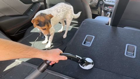 Handheld Vacs - Pet Hair w_Dog