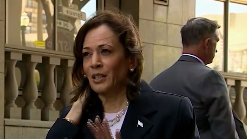 Democrats Criticize 'DEI Hire' Label for Kamala Harris