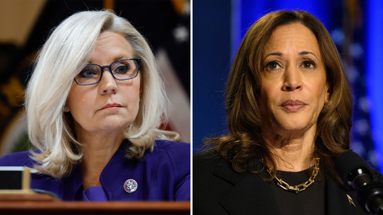 Liz Cheney and Vice President Kamala Harris