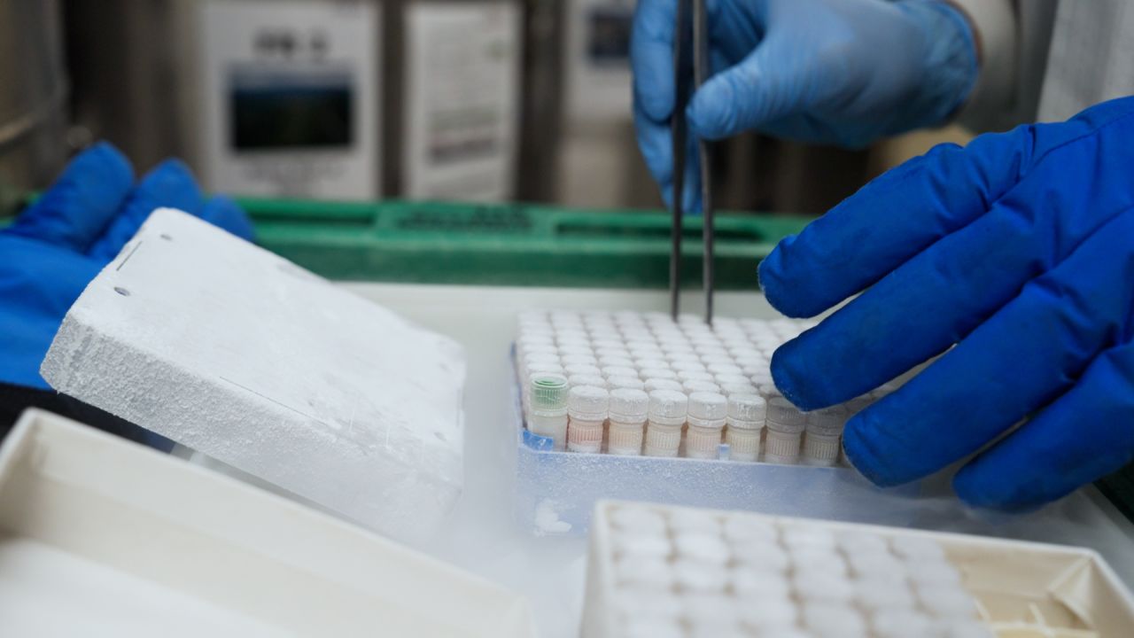 HarvardLabTermination_Thumbnail30.jpg