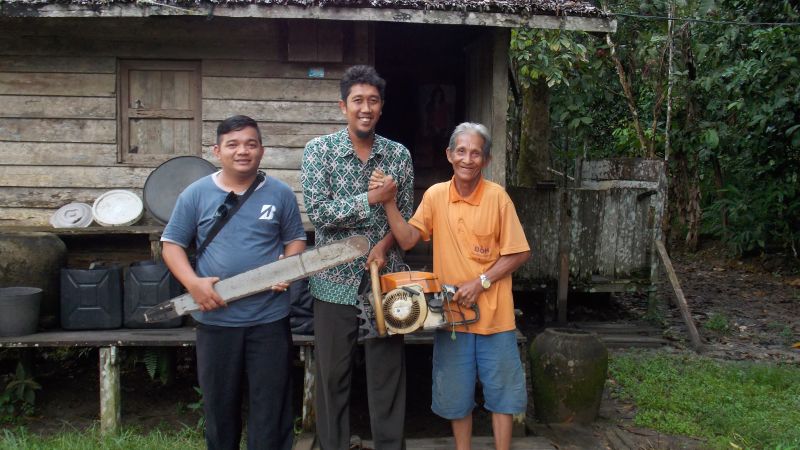 A chainsaw amnesty is protecting the rainforest in Borneo