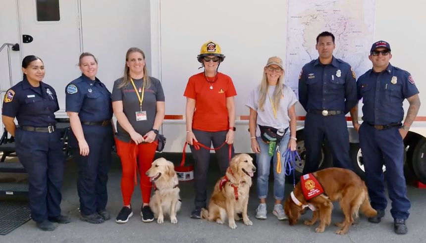 First Responder Therapy Dogs, founded by CNN Hero Heidi Carman, center, provides stress relief for emergency responders