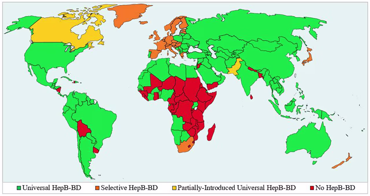 A map created by the CDC shows the hepatitis B vaccine birth dose policy by country in 2025.