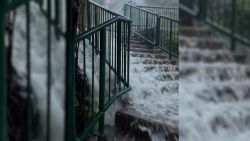 hk rain digvid v1.jpg