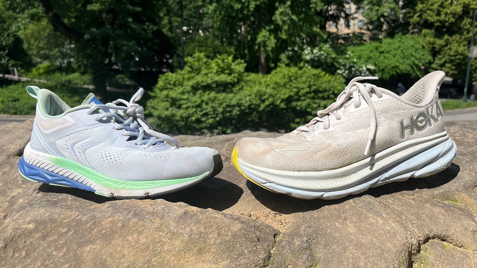 Hoka vs Avia: Which exercise sneaker is best | CNN Underscored