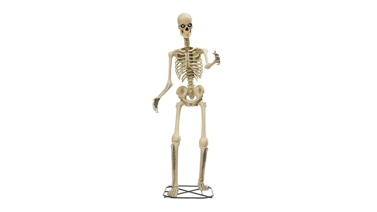 home depot servo skelly cnnu.jpg