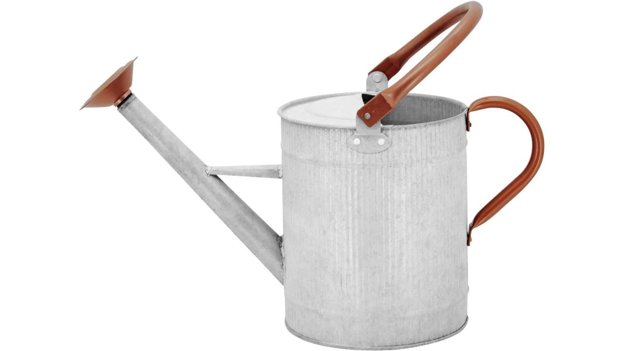 Hortican 1-Gallon Metal Watering Can cnnu.jpg