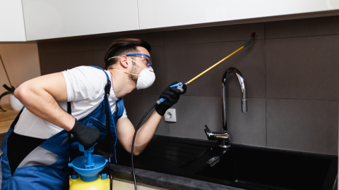 Professional exterminator in protective workwear sprays pesticide in an apartment kitchen.