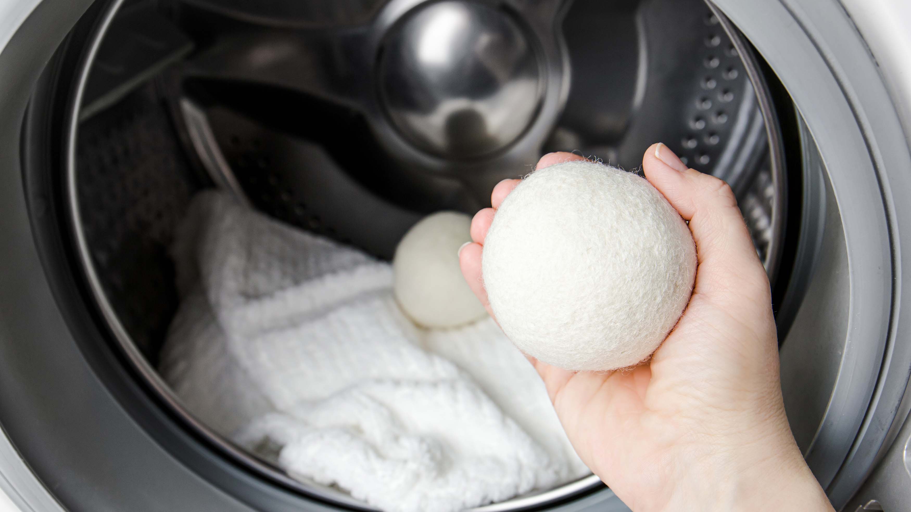 are plastic dryer balls safe for dogs