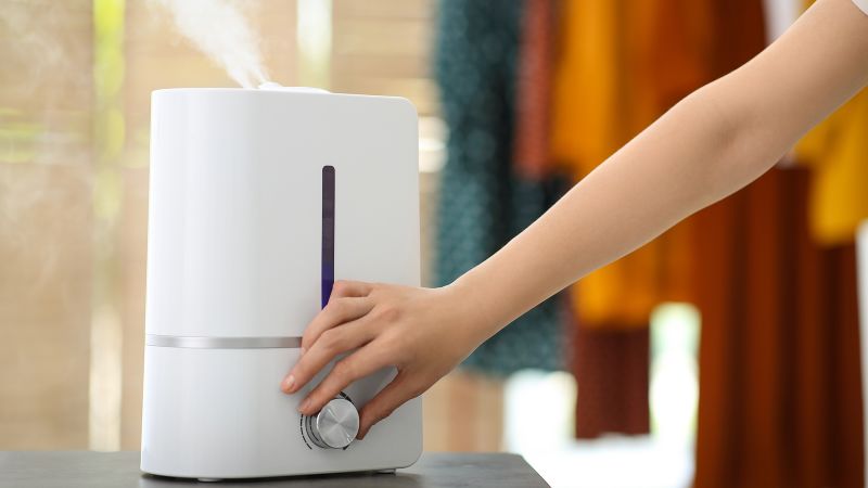 How to clean your humidifier to eliminate mold and bacteria