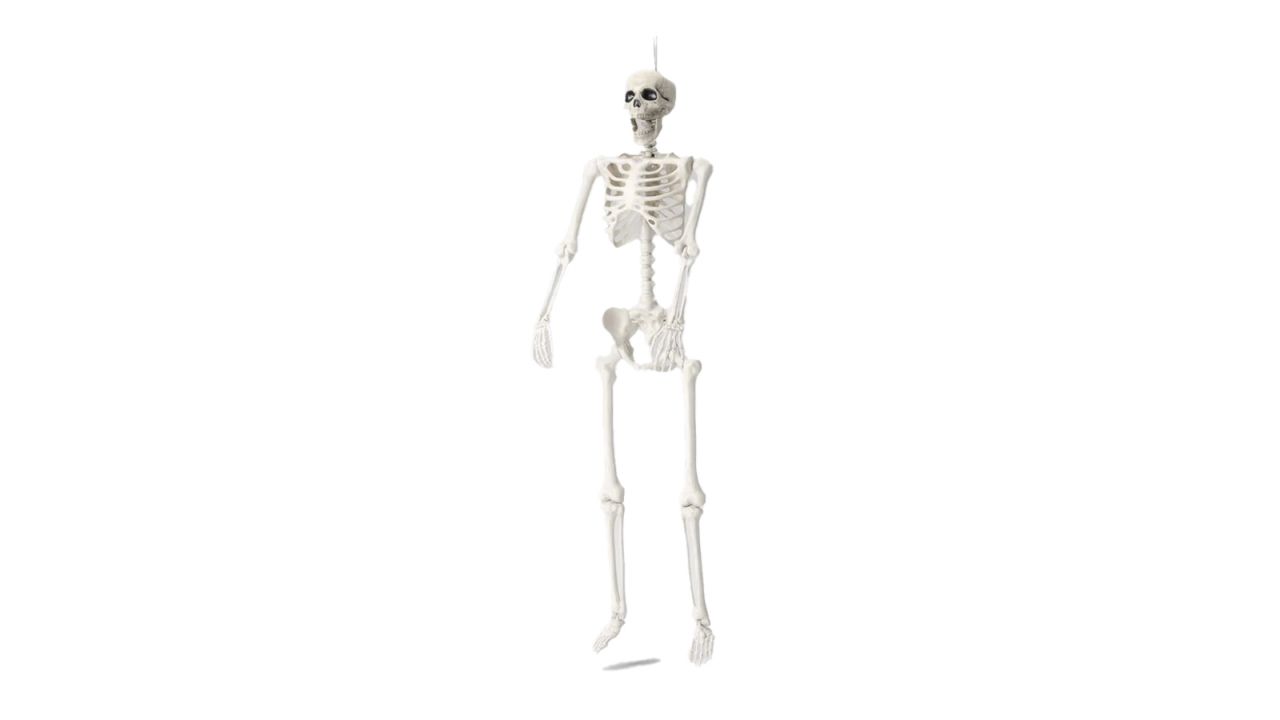 Hyde & EEK! Boutique 5-Foot Posable Skeleton.jpg