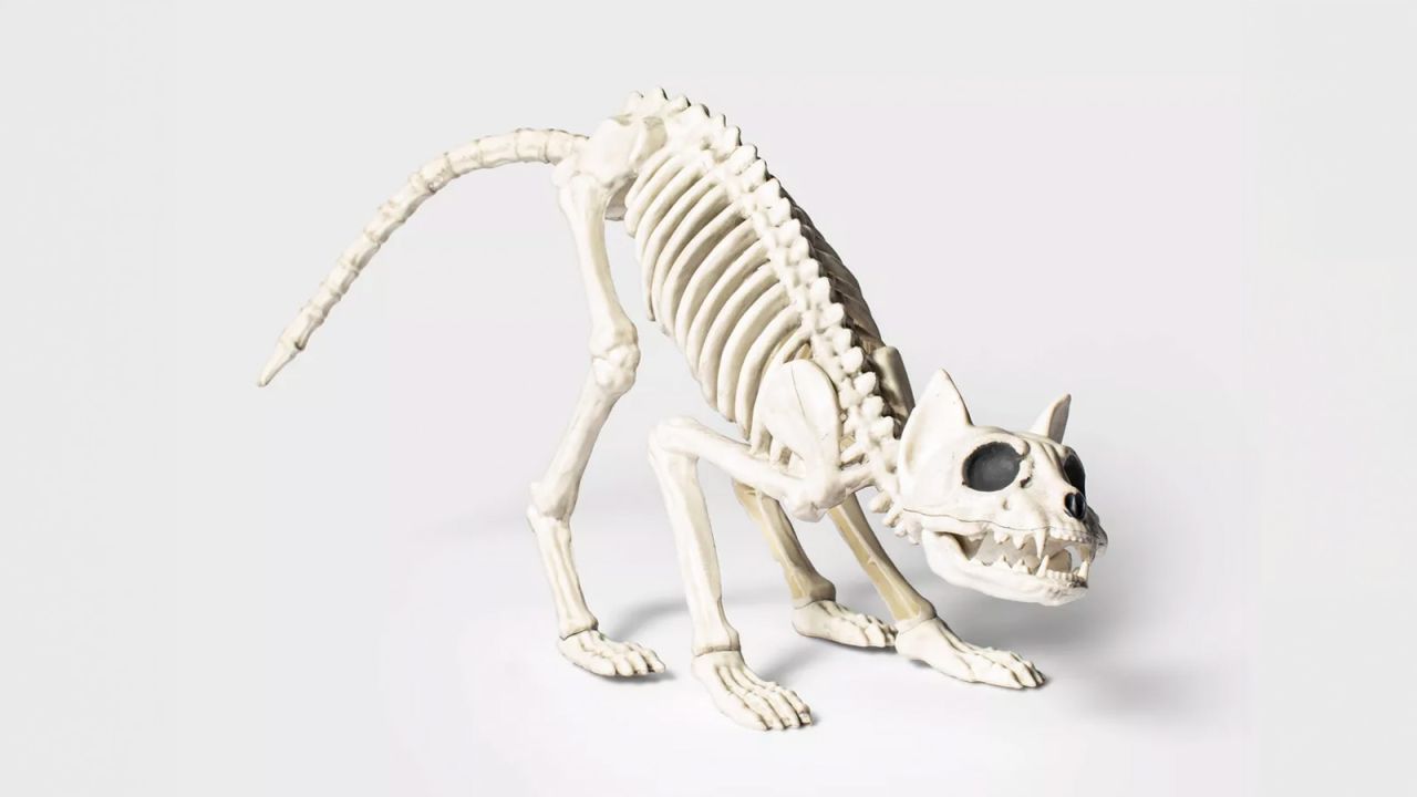 Hyde & EEK! Boutique Cat Skeleton Halloween Decorative Prop.jpg