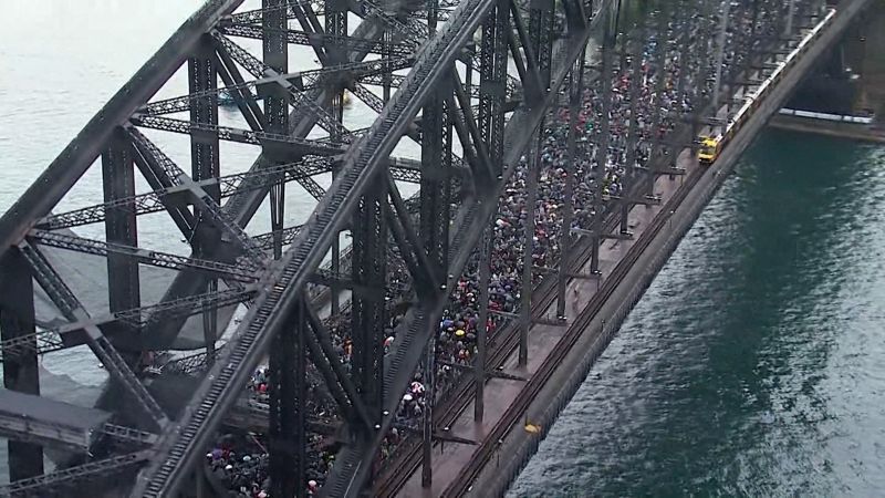 Tens of thousands march in Sydney calling for peace and aid in Gaza