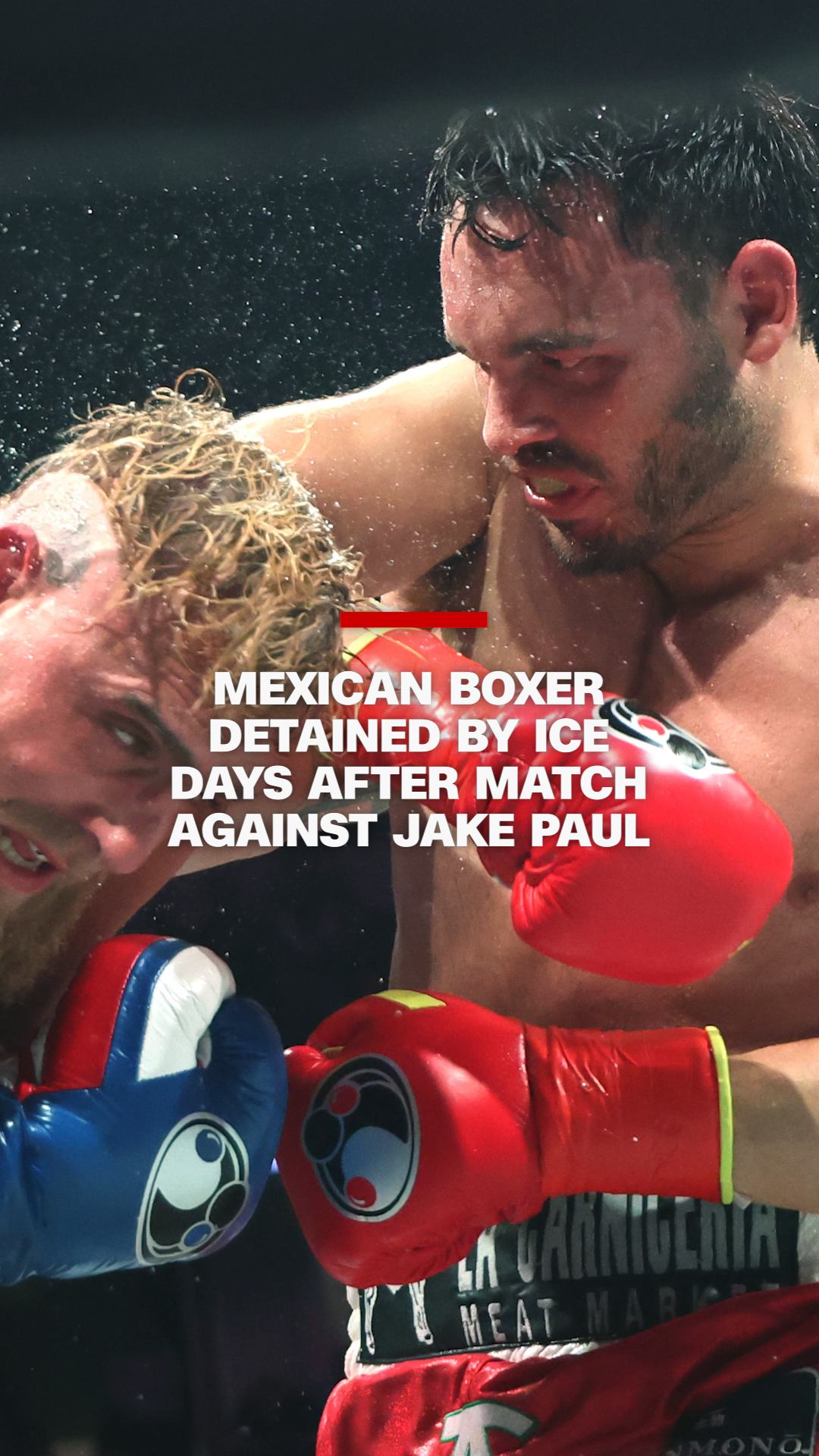 ice boxer vrt.png
