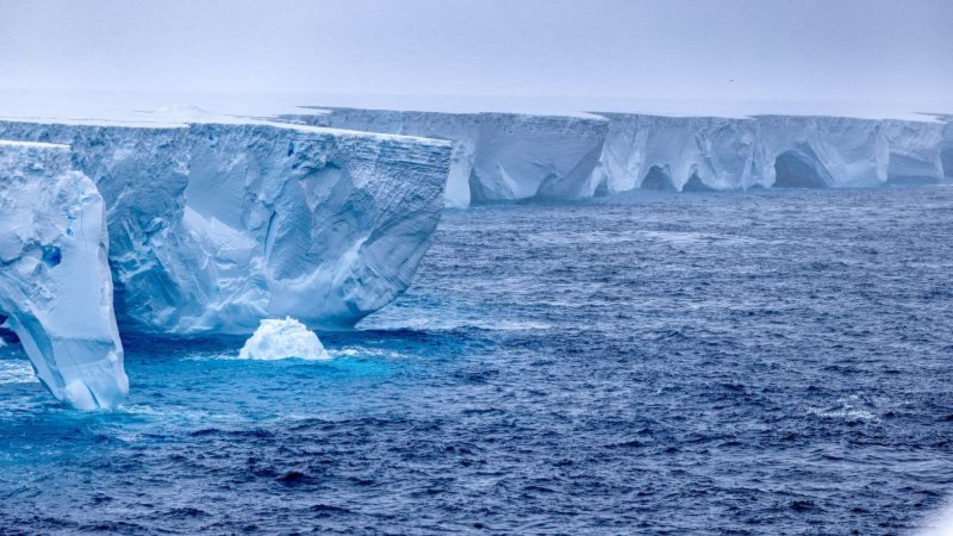 El iceberg más grande del mundo encalla frente a Georgia del Sur | CNN