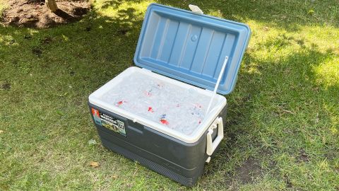 A white and blue Igloo MaxCool 50 quart cooler, full of ice and drinks, sitting on a green lawn