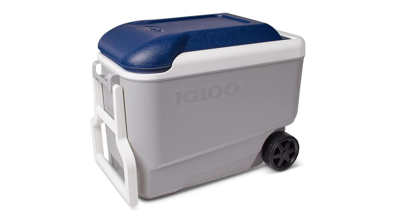 Igloo Maxcold 40 product card cnnu.jpg