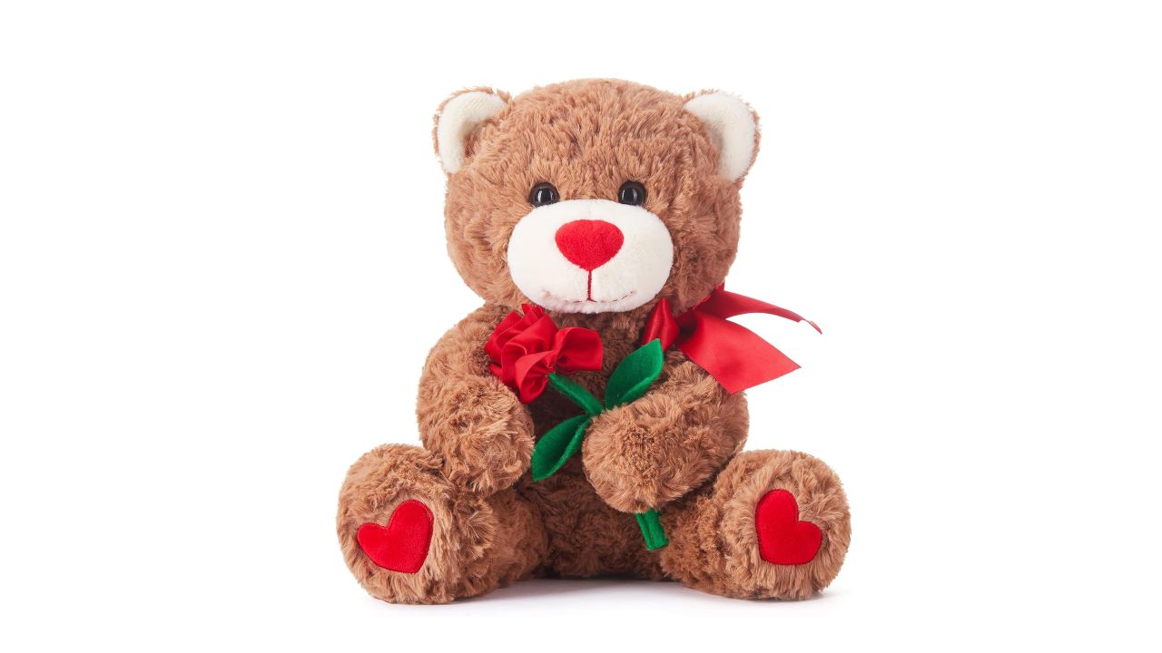 ikasa bear product card cnnu.jpg