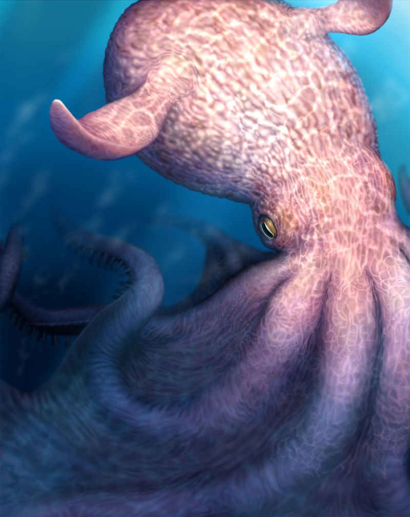 Giant octopus was a top predator 100 million years ago | CNN